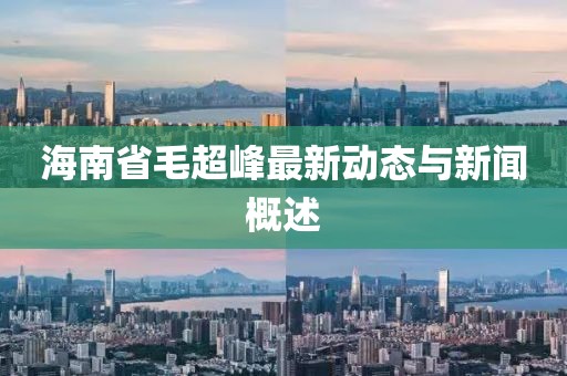海南省毛超峰最新動(dòng)態(tài)與新聞概述