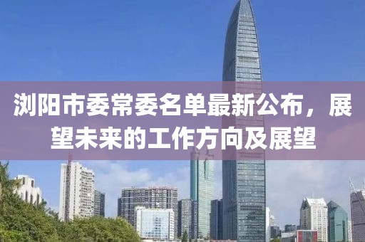 瀏陽市委常委名單最新公布，展望未來的工作方向及展望