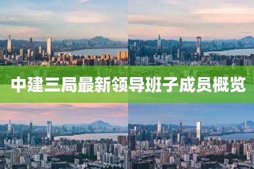 中建三局最新領導班子成員概覽