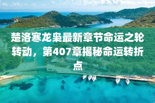 楚洛寒龍梟最新章節(jié)命運之輪轉(zhuǎn)動，第407章揭秘命運轉(zhuǎn)折點