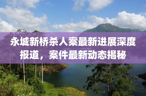 永城新橋殺人案最新進展深度報道，案件最新動態(tài)揭秘