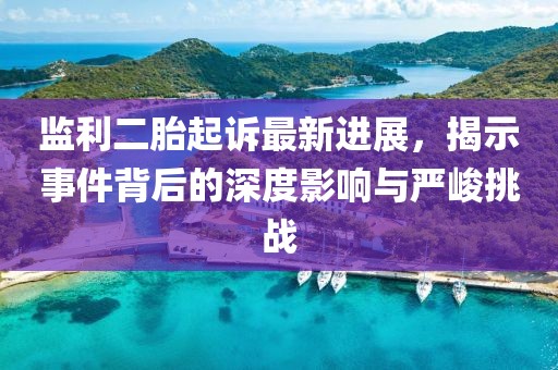 監(jiān)利二胎起訴最新進(jìn)展，揭示事件背后的深度影響與嚴(yán)峻挑戰(zhàn)