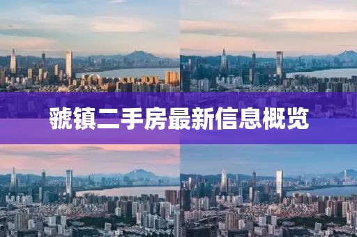虢鎮(zhèn)二手房最新信息概覽