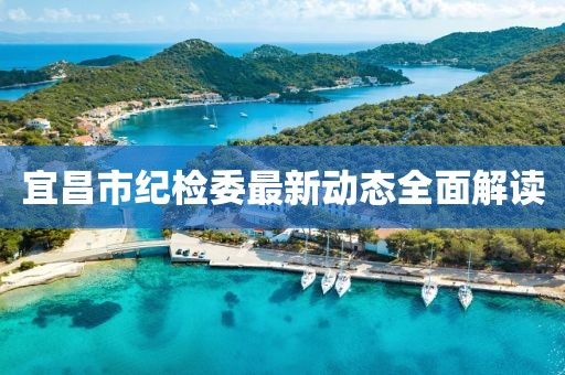 宜昌市紀(jì)檢委最新動態(tài)全面解讀