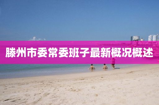 滕州市委常委班子最新概況概述