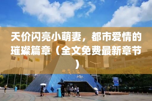 天價(jià)閃亮小萌妻，都市愛情的璀璨篇章（全文免費(fèi)最新章節(jié)）