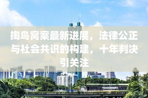 掏鳥窩案最新進(jìn)展，法律公正與社會共識的構(gòu)建，十年判決引關(guān)注