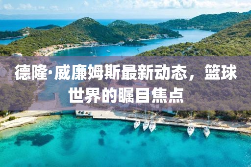 德隆·威廉姆斯最新動(dòng)態(tài)，籃球世界的矚目焦點(diǎn)