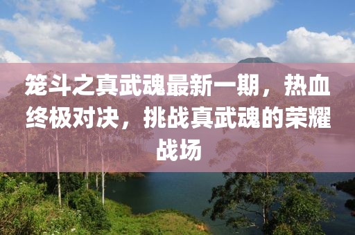籠斗之真武魂最新一期，熱血終極對決，挑戰(zhàn)真武魂的榮耀戰(zhàn)場