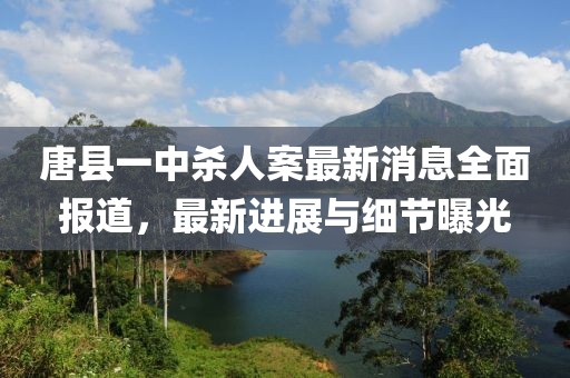 唐縣一中殺人案最新消息全面報(bào)道，最新進(jìn)展與細(xì)節(jié)曝光