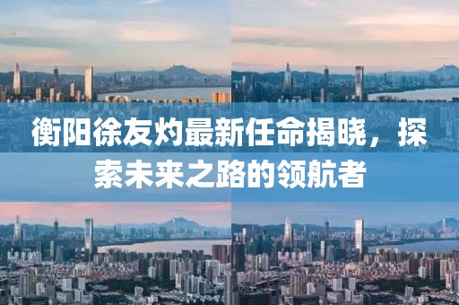 衡陽(yáng)徐友灼最新任命揭曉，探索未來(lái)之路的領(lǐng)航者