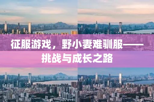 征服游戲，野小妻難馴服——挑戰(zhàn)與成長之路