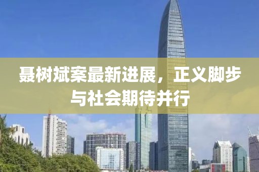聶樹斌案最新進展，正義腳步與社會期待并行