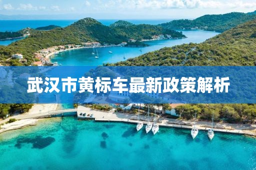 武漢市黃標(biāo)車最新政策解析