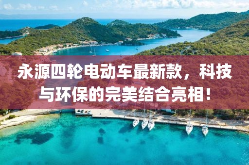 永源四輪電動車最新款，科技與環(huán)保的完美結(jié)合亮相！