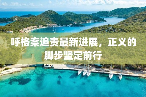 呼格案追責(zé)最新進(jìn)展，正義的腳步堅(jiān)定前行