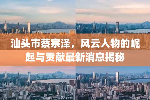 汕頭市蔡宗澤，風云人物的崛起與貢獻最新消息揭秘