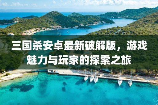 三國(guó)殺安卓最新破解版，游戲魅力與玩家的探索之旅