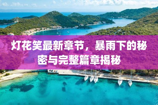 燈花笑最新章節(jié)，暴雨下的秘密與完整篇章揭秘