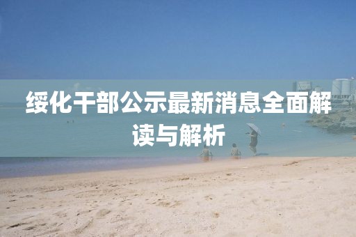綏化干部公示最新消息全面解讀與解析