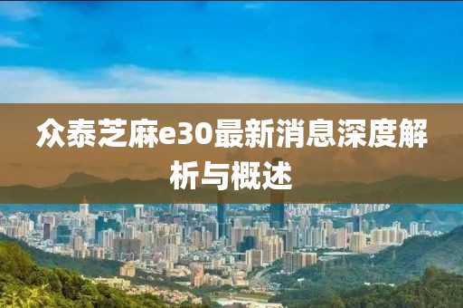 眾泰芝麻e30最新消息深度解析與概述