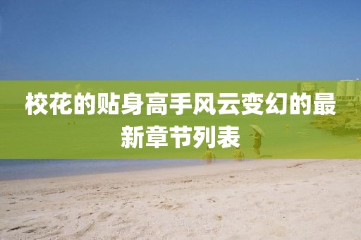 校花的貼身高手風(fēng)云變幻的最新章節(jié)列表