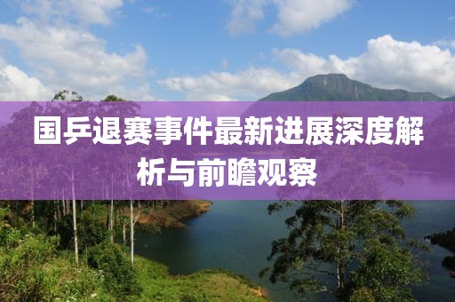 國乒退賽事件最新進(jìn)展深度解析與前瞻觀察