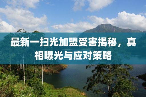 最新一掃光加盟受害揭秘，真相曝光與應(yīng)對(duì)策略