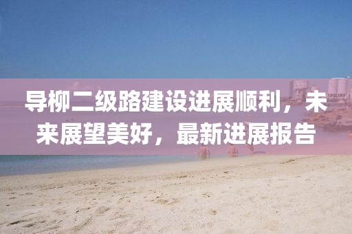 導(dǎo)柳二級路建設(shè)進展順利，未來展望美好，最新進展報告