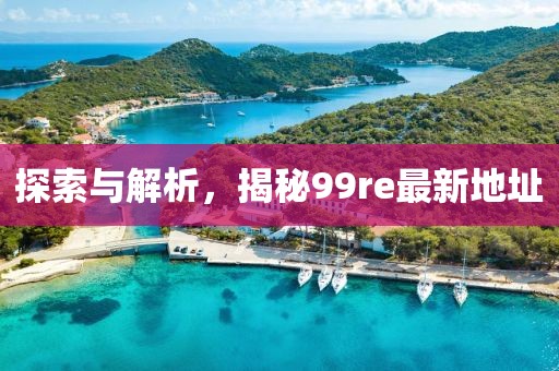 探索與解析，揭秘99re最新地址