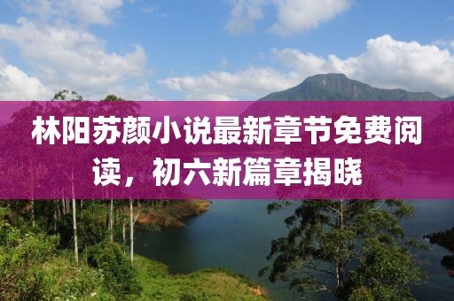 林陽蘇顏小說最新章節(jié)免費閱讀，初六新篇章揭曉
