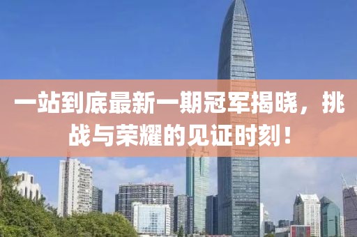 一站到底最新一期冠軍揭曉，挑戰(zhàn)與榮耀的見證時(shí)刻！