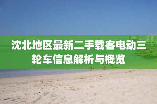 沈北地區(qū)最新二手載客電動(dòng)三輪車(chē)信息解析與概覽