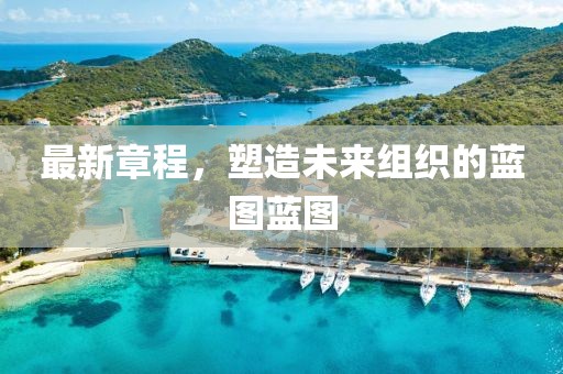 最新章程，塑造未來組織的藍(lán)圖藍(lán)圖