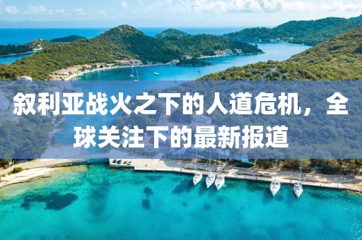敘利亞戰(zhàn)火之下的人道危機，全球關注下的最新報道