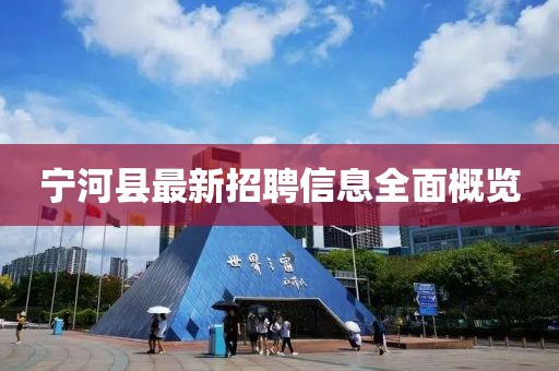 寧河縣最新招聘信息全面概覽