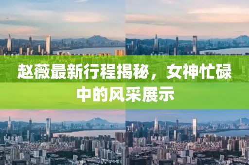 趙薇最新行程揭秘，女神忙碌中的風(fēng)采展示