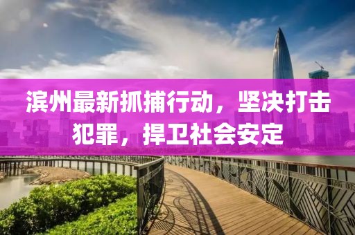 濱州最新抓捕行動(dòng)，堅(jiān)決打擊犯罪，捍衛(wèi)社會(huì)安定