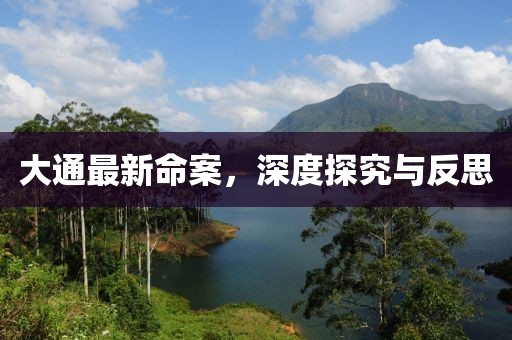 大通最新命案，深度探究與反思