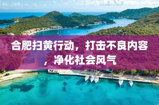 合肥掃黃行動(dòng)，打擊不良內(nèi)容，凈化社會(huì)風(fēng)氣