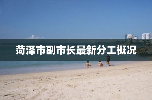 菏澤市副市長(zhǎng)最新分工概況