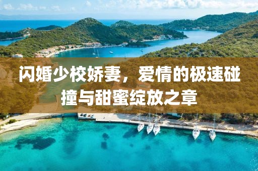閃婚少校嬌妻，愛情的極速碰撞與甜蜜綻放之章