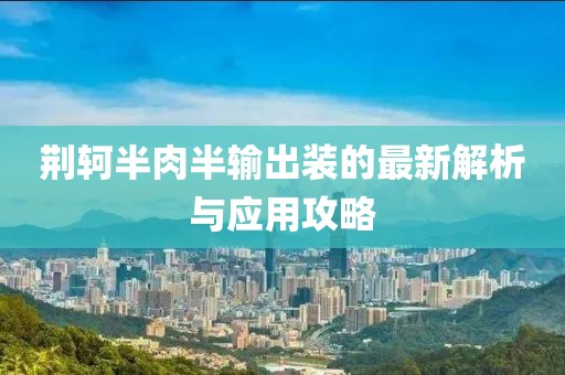 荊軻半肉半輸出裝的最新解析與應(yīng)用攻略