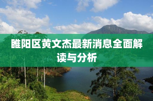睢陽(yáng)區(qū)黃文杰最新消息全面解讀與分析