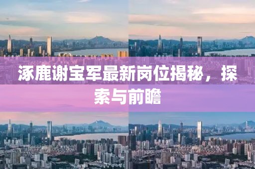 涿鹿謝寶軍最新崗位揭秘，探索與前瞻