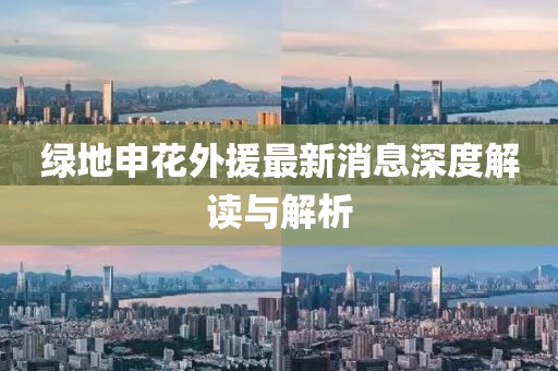 綠地申花外援最新消息深度解讀與解析
