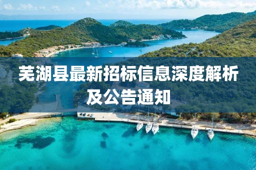 蕪湖縣最新招標(biāo)信息深度解析及公告通知