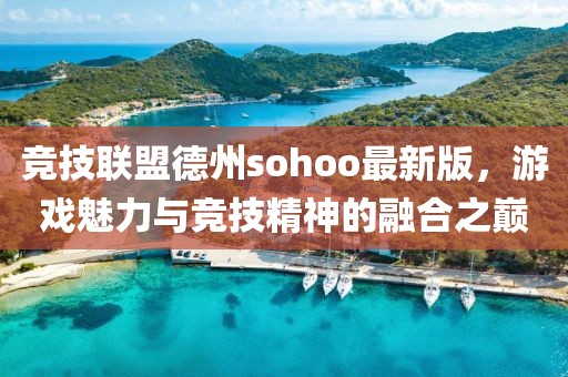 競技聯(lián)盟德州sohoo最新版，游戲魅力與競技精神的融合之巔