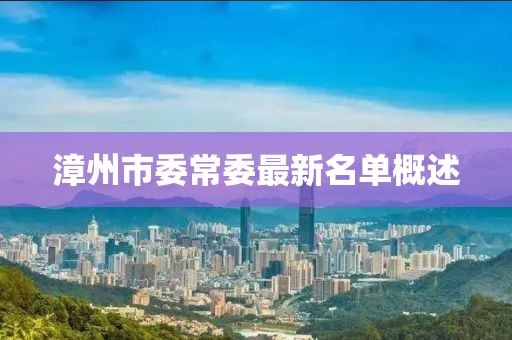 漳州市委常委最新名單概述
