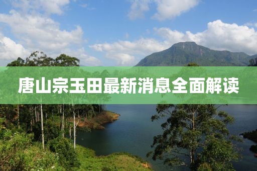 唐山宗玉田最新消息全面解讀